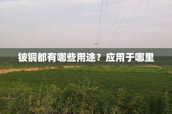 铍铜都有哪些用途？应用于哪里