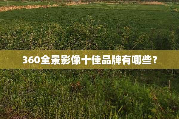 360全景影像十佳品牌有哪些？