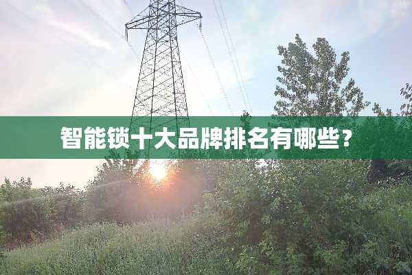 智能锁十大品牌排名有哪些？