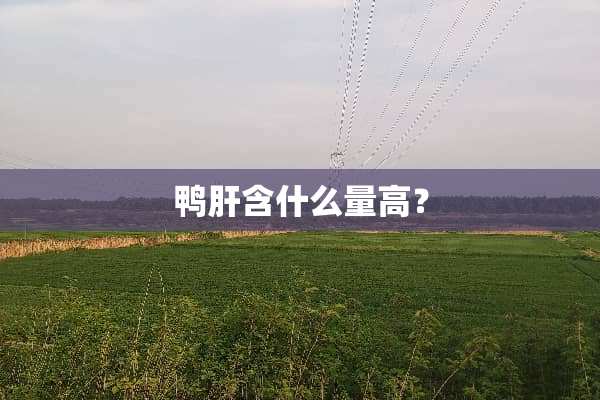 鸭肝含什么量高？
