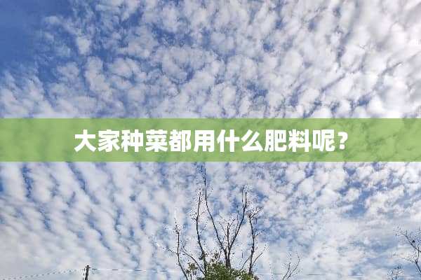 大家种菜都用什么肥料呢？