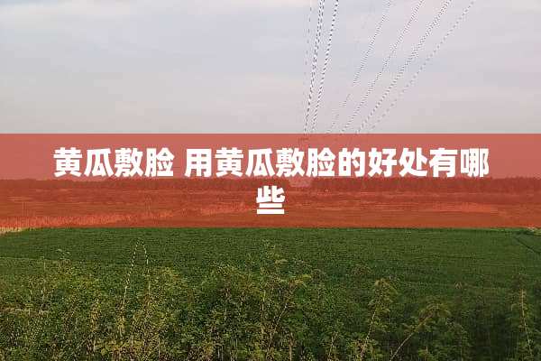 黄瓜敷脸 用黄瓜敷脸的好处有哪些