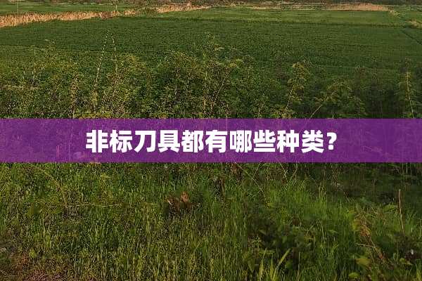 非标**都有哪些种类？