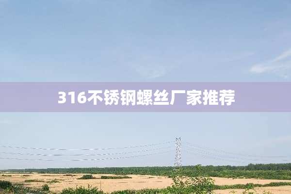 316不锈钢螺丝厂家推荐