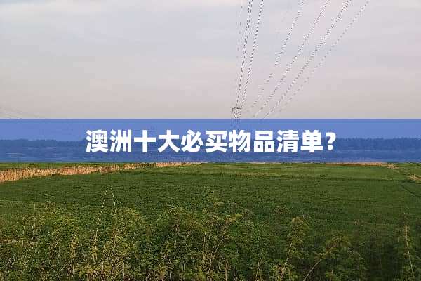 澳洲十大必买物品清单？