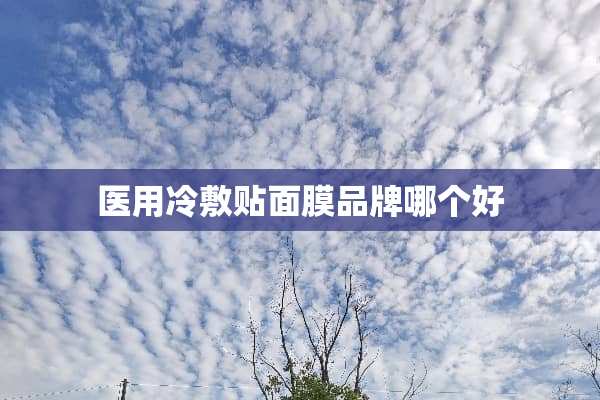 医用冷敷贴面膜品牌哪个好