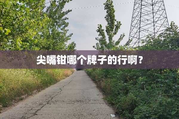 尖嘴钳哪个牌子的行啊？