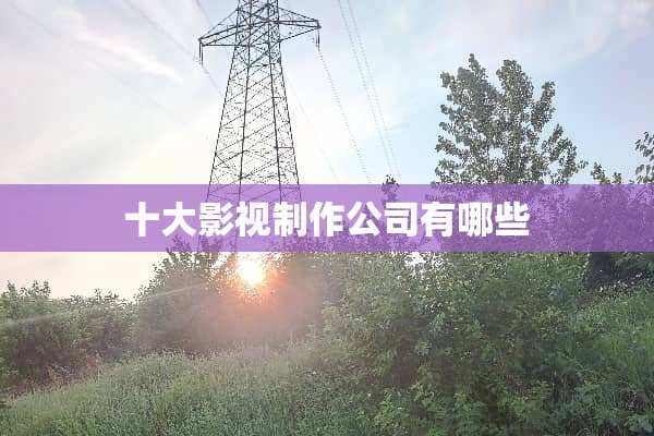 十大影视制作公司有哪些