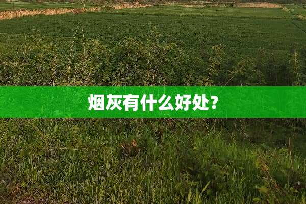 烟灰有什么好处？