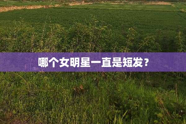 哪个女明星一直是短发？
