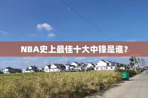 NBA史上最佳十大中锋是谁？