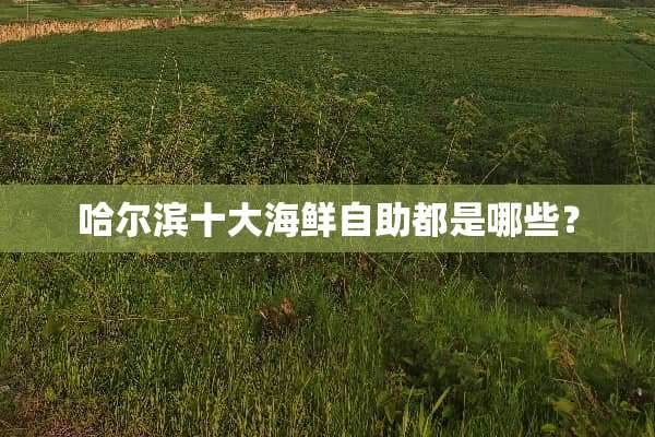 哈尔滨十大海鲜自助都是哪些？