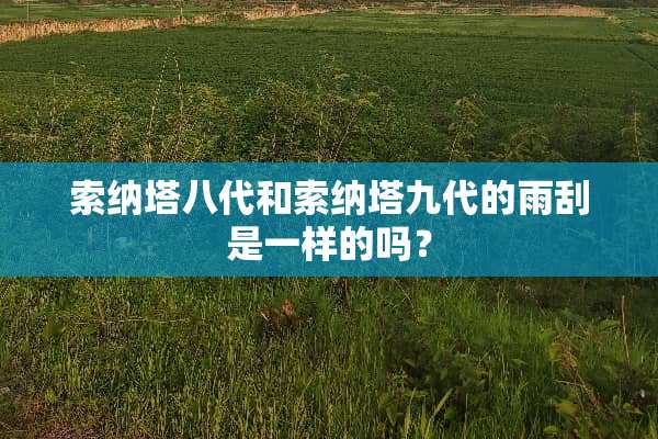 索纳塔八代和索纳塔九代的雨刮是一样的吗？