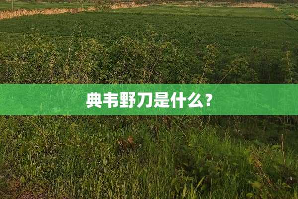 典韦野刀是什么？