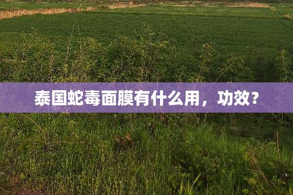 泰国蛇毒面膜有什么用，功效？