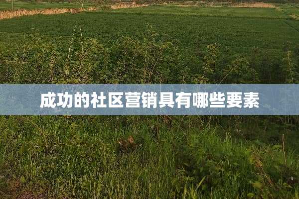 成功的社区营销具有哪些要素