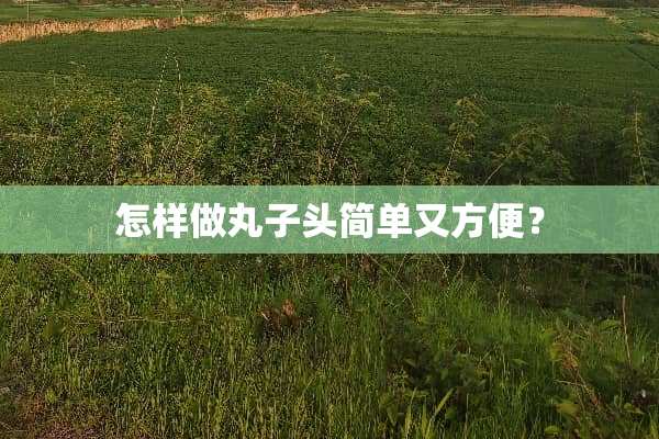 怎样做丸子头简单又方便？
