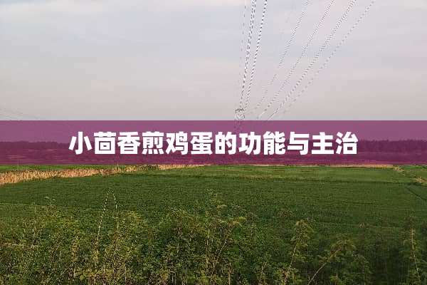 小茴香煎鸡蛋的功能与主治