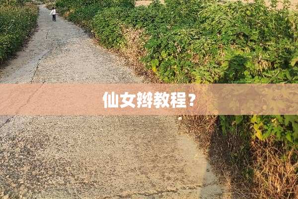 仙女辫教程？