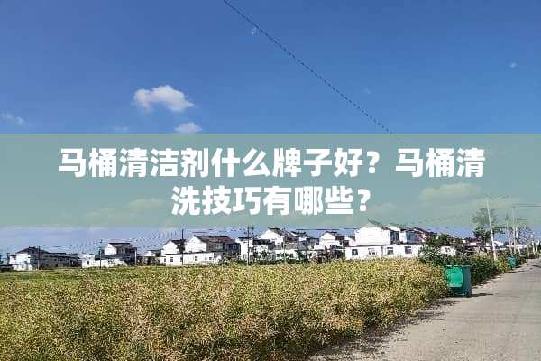 马桶清洁剂什么牌子好？马桶清洗技巧有哪些？
