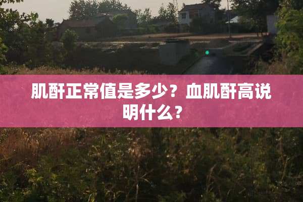 肌酐正常值是多少？血肌酐高说明什么？