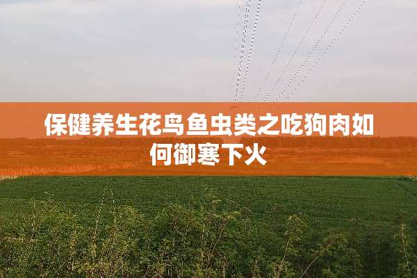 保健养生花鸟鱼虫类之吃狗肉如何御寒下火