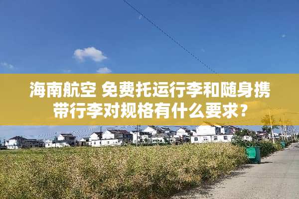 海南航空 免费托运行李和随身携带行李对规格有什么要求？