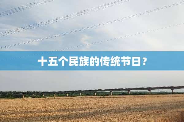 十五个民族的传统节日？