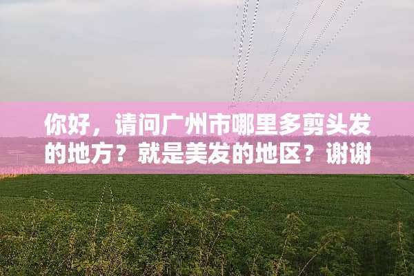 你好，请问广州市哪里多剪头发的地方？就是美发的地区？谢谢？
