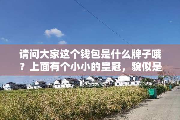 请问大家这个钱包是什么牌子哦？上面有个小小的皇冠，貌似是韩国的