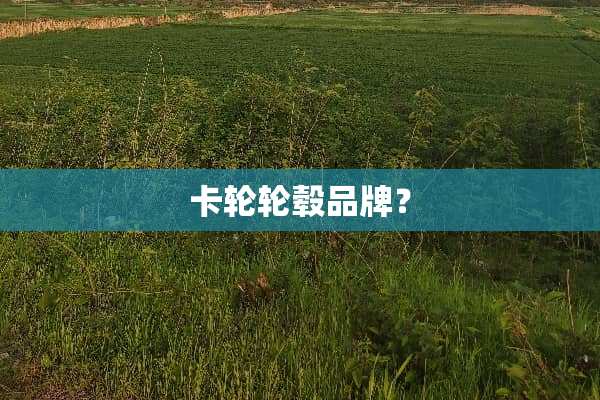 卡轮轮毂品牌？