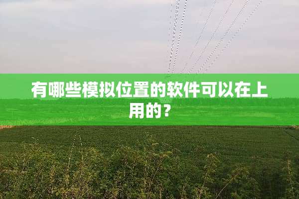 有哪些模拟位置的软件可以在上用的？