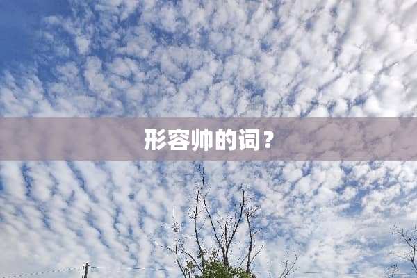 形容帅的词？