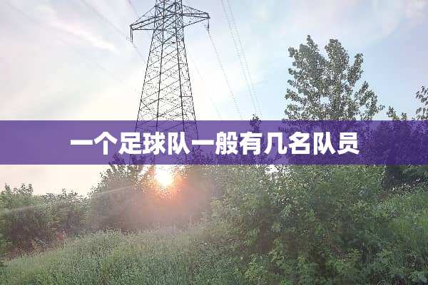 一个**队一般有几名队员