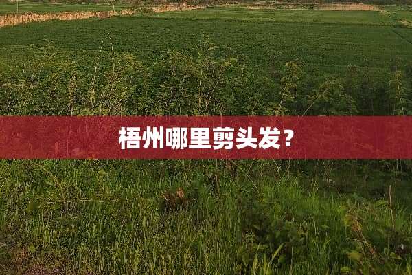 梧州哪里剪头发？