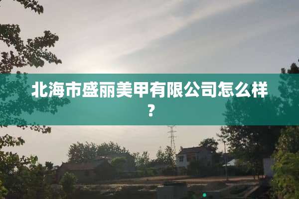 北海市盛丽美甲有限公司怎么样？