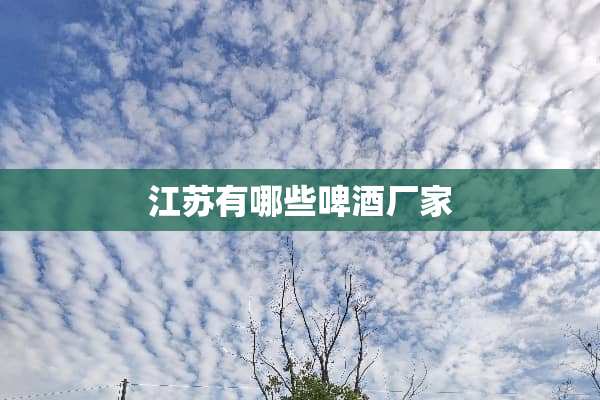 江苏有哪些啤酒厂家