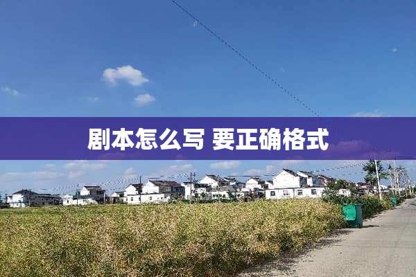 剧本怎么写 要正确格式