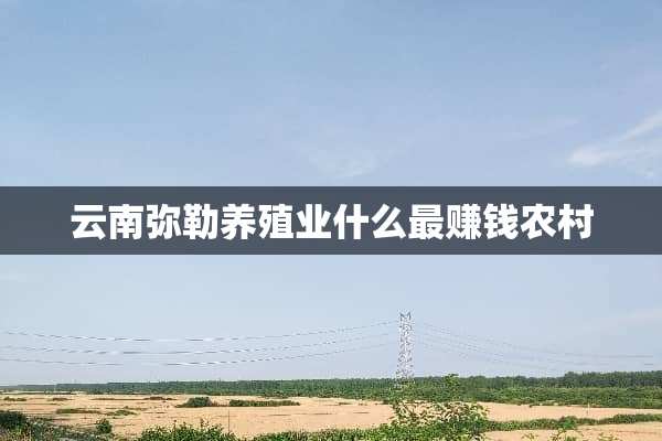 云南弥勒养殖业什么最赚钱农村