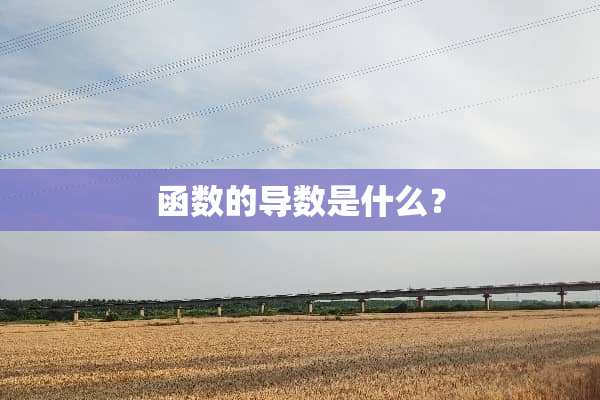函数的导数是什么？