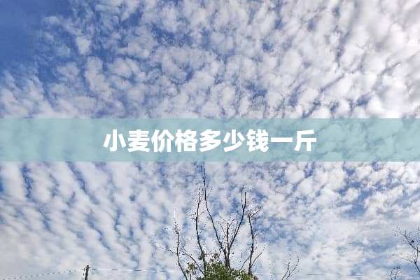 小麦价格多少钱一斤