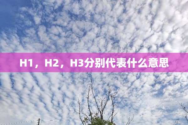 H1，H2，H3分别代表什么意思