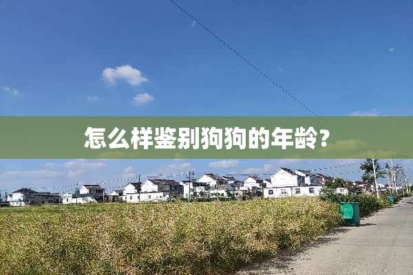 怎么样鉴别狗狗的年龄？