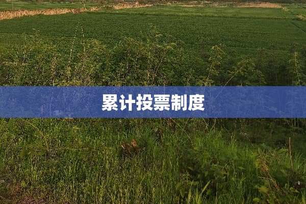 累计投票制度