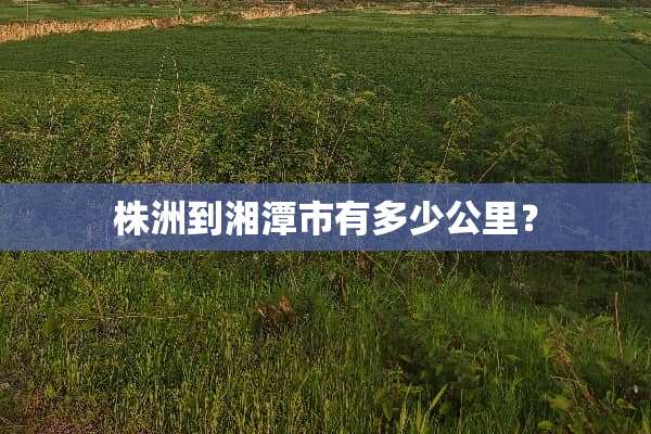 株洲到湘潭市有多少公里？