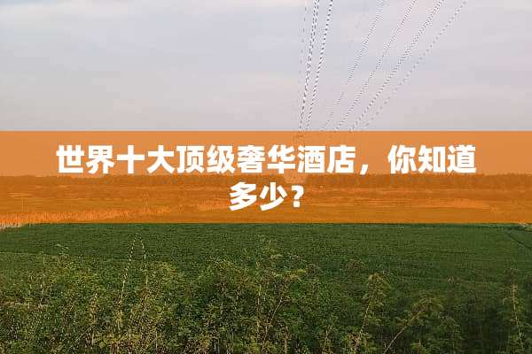 世界十大**奢华酒店，你知道多少？