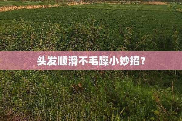 头发顺滑不毛躁小妙招？
