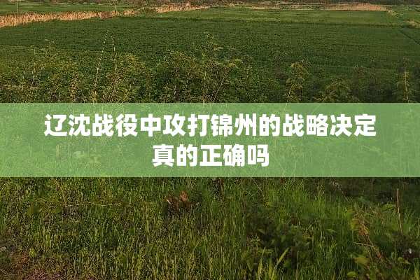 辽沈战役中攻打锦州的战略决定真的正确吗