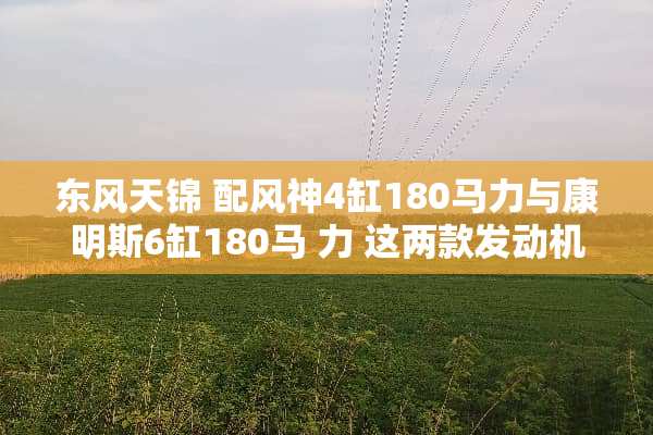 东风天锦 配风神4缸180马力与康明斯6缸180马 力 这两款发动机那款比较好