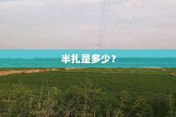 半扎是多少？